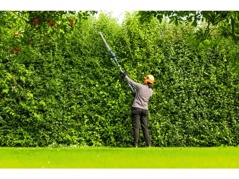 Akumulatorske škarje za živo mejo Bosch PRO GHE18V-50FP, 06008D5100